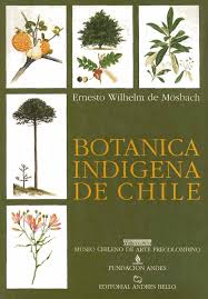 Flores flor naturaleza hermosa jardín. Botanica Indigena By Rafael De Stefano Issuu
