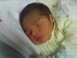 NUEVOS INTEGRANTES DE LA FAMILIA PUCP! NACIMIENTOS MARZO Y ABRIL