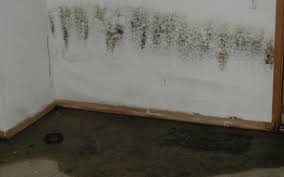 Comment ventiler un mur humide. Comment Traiter Une Cave Humide Pour L Amenager L Assecheur