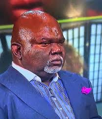 Bengals game watching experience