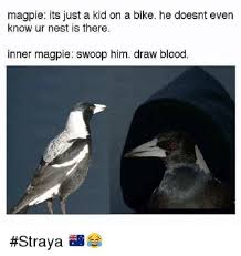 Straya Australia Australia Funny Aussie Memes Australian Memes