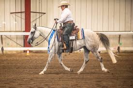 Cheshire Fair Horse Shows