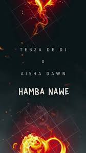Tebza De DJ: God's Work & Amapiano Remix Memories