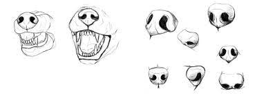 Now just close the shape and draw the nostrils shaped as commas. How To Draw A Dogs Nose And Mouth Learn How To Draw