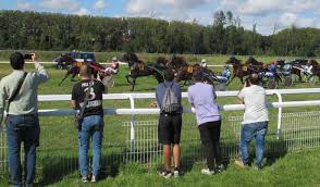 Courses de chevaux et traditions
