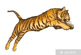 Thomas howell, charles durning, kelly preston. Tigre Che Salta Sticker Pixers We Live To Change