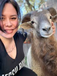 Jamila's Ragdolls & other...