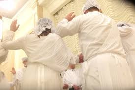 Street clothes are worn in the temple by people attending weddings, called sealings, performed in the sealing rooms of the temples. Mormon Weddings From Top Secret Temple Sealings To The Myth Of Magic Underwear Amm Blog