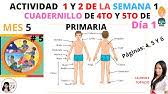 Cuadernillo de repaso escolar del quinto grado de primaria. El Cuadernillo Numero De 5 De 4to Y 5to De Primaria Presentacion Del Nuevo Cambio Youtube