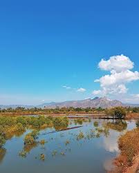 Disini memang terasa sekali nuansa romantis dari pantai nusa dua, anda bisa melihat indahnya sunset sembari menikmati hidangan seafood seperti kepiting, udang, lobster, ikan, dan masih banyak hidangan yang siap memanjakan anda bersama orang tersayang di. Enaknya Liburan Ala Road Trip Itu Banyak Ketemu Pemandangan Bagus Kayak Gini Bisa Langsung Berhenti Cekrek Abadikan Dengan Kamera Pemandangan Liburan Kayak