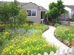 Lawn Alternatives Can Save Time Money And Maybe The Planet Lawn Alternatives Lawn And Landscape Front Yard Landscaping