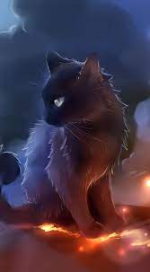 Quality Phone Tablet Backgrounds Black Cat Anime Cats Illustration Cute Cat Illustration