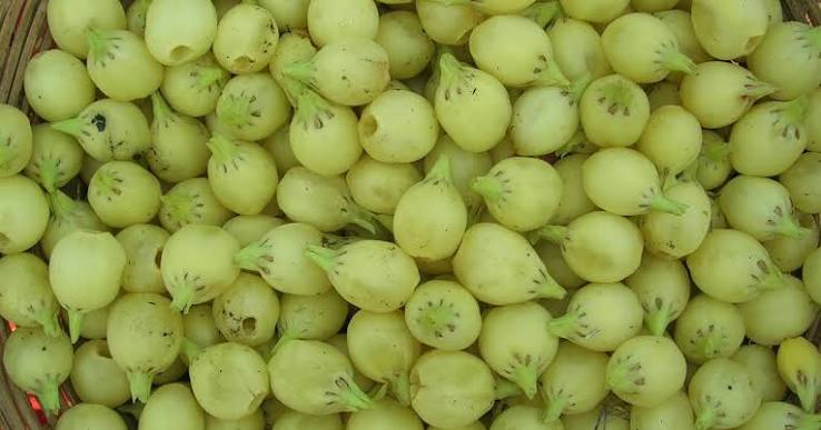 Mahua