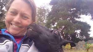 Sheep Breeding Community Farm