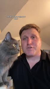 Gay Guy with A Clean Self Cat Litter