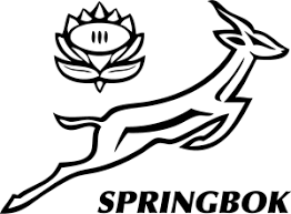 The jersey is embroidered with the sa rugby logo on the wearer's left chest and the springbok logo on the right chest. Springbok Logo Vector Ai Free Download