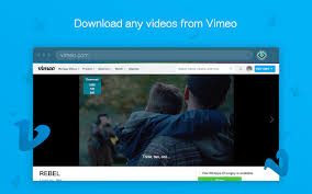 Not that i do this…but i should have the right. Web Video Downloader