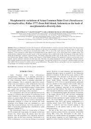 Menggunakan pengetahuan multimedia dan menjana idea dan maklumat secara kreatif dan inovatif. Pdf Morphometric Variations Of Asian Common Palm Civet Paradoxurus Hermaphroditus Pallas 1777 From Bali Island Indonesia As The Basis Of Morphometrics Diversity Data