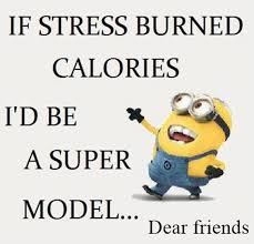 Have a cup of coffee and start your engines because it's still a long way before you reach the weekend. 45 Crazy Funny Friendship Quotes For Best Friends Daily Funny Quotes