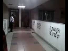 Kompleks pejabat kerajaan, pulau pinang. Anjing Tersepit Di Kuarters Jalan Duta V2 Youtube