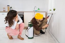 Ants, spiders and roaches just have a way of making your skin crawl. Diy Pest Control Vs Professional Pest Control Service