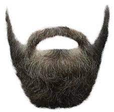 Beard Png Free Beard Png Transparent Images 19 Pngio Beard Drawing Beard Vector Beard Clipart