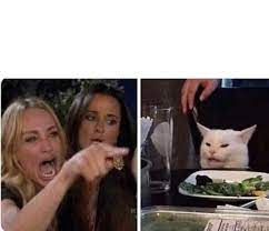Cat Meme Table Template