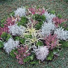 Herbstbepflanzung Herbstbepflanzung Grabbepflanzung Herbstbepflanzung Bepflanzung