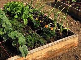 Maybe you would like to learn more about one of these? How To Organize Your Vegetable Garden Zesolution Com