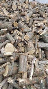 Check spelling or type a new query. Lemne De Foc EsenÈÄ Tare Fag Èi Lemne De Foc Vanatori Facebook