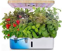 Buy Moistenland Hydroponics Growing System Indoor Herb Garden Starter Kit W Led Grow Light Plant Germin Led Grow Lights Plants Indoor Herb Garden Herbs Indoors