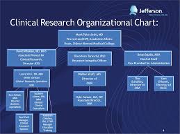 Structure And Organization Of Research At Tju Kathleen O