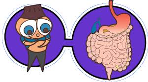 Check spelling or type a new query. Digestive System My Active Body