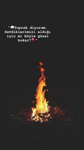 Untitled In 2020 Cute Quotes For Life Better Life Quotes Cool Words