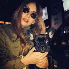 Lady gaga's dogs were stolen wednesday night during a robbery at 9:40 p.m. She S Lady Gaga S New French Bulldog Puppy Bulldog Merle French Bulldog Lady Gaga News