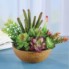 Check spelling or type a new query. Faux Succulent Plants Arrangement In Pot Collections Etc