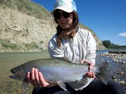 Bow River Fly Fishing Guides Dave Brown Outfitters