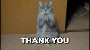 Thank U Cat Gif Thank You Gifs Thank You Cat Meme Funny Thank You