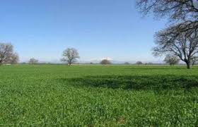 300 tl ye tarla satın aldım ! Hisseli Tarla Tapu Satisi Nasil Yapilir