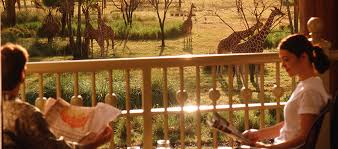 Disney S Animal Kingdom Lodge In Orlando Florida Divine Lifestyle Disney Animal Kingdom Lodge Animal Kingdom Disney Animal Kingdom Lodge