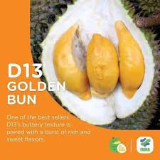 Termasuk jenis durian yang terkenal di negeri jiran, yakni durian raja musang atau musang king. Bintulu Info Jenis Buah Durian Yang Ada Di Malaysia Facebook