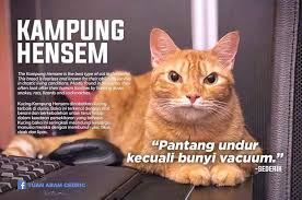 Ular darat adalah membawa keburukan namun ular jenis. Satu Mimpi Menjadi Realiti Posts Facebook