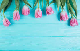 Support us by sharing the content, upvoting wallpapers on the page or sending your own background pictures. Spring Background Hintergrundbild Nawpic