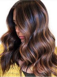 Best Chocolate Brown Hair Color Shades To Follow In 2020 Hair Color Light Brown Brown Hair With Highlights Brunette Hair Color