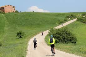 Image result for Oricia