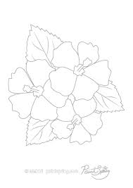 Zentangle art coloring page for adults, printable doodle flowers, pdf, coloring pattern. Printable Flower Adult Coloring Book Get 3 Free Pages