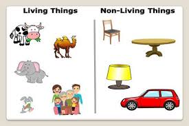 Check spelling or type a new query. Example Of Living Things Non Living Things In Daily Life