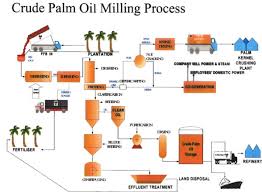 The fresh palm fruit bunches must be first measurement recorded by the except above seven steps, in large scale palm oil processing line, there are also other steps, such as fiber separation step, which is to remove the. Palm Oil Processing Flow Chart Manufacture Palm Oil Extraction Machine To Extract Palm Oil From Palm Fruit Oil Refinery Plant Expeller Provide A Turnkey Project Of Palm Oil Mill Manufacturers Palm Oil Processing Flow