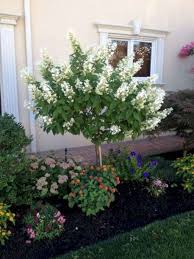 80 Beautiful Front Yard Flowers Garden Landscaping Ideas Homixover Com In 2020 Trees For Front Yard Front Yard Flowers Front Yard Landscaping Design