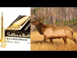 Taking My 6.5 Creedmoor For Elk...Am I Crazy?? - 24Hourcampfire